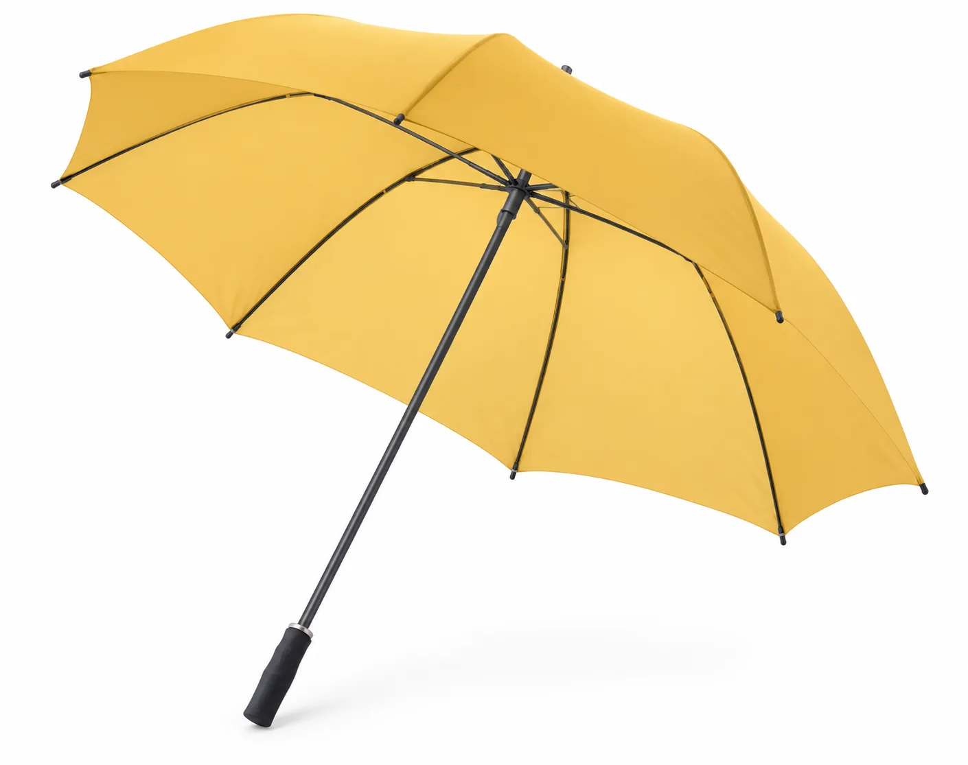 Barry Automatic Umbrella